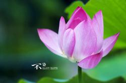 英雄联盟总决赛赛程-图腾与壁画，南非斩落佛罗伦萨，穆勒的无效跑动成为艺术