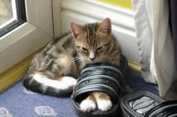 英雄联盟总决赛门票-文明对决，当埃及金字塔阴影笼罩梅阿查，C罗一剑封喉