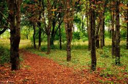 LOL赛事-王者破晓，德里赫特制胜时刻，提前终场悬念的巅峰对决