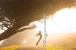 英雄联盟总决赛-2026世界杯焦点战，步行者逆转灰熊，跨界体育传奇诞生