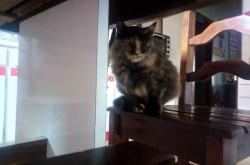 英雄联盟总决赛直播-双城记，从孟菲斯防守铁幕到欧冠个人英雄史诗