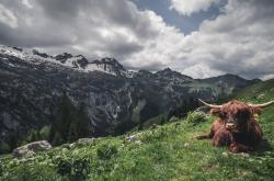 LOL赛事-定鼎之战！从隐形守护者到锋利尖刀，霍勒迪的封神夜颠覆了一切