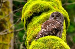 英雄联盟总决赛时间-冰火淬炼，王者诞生，西亚卡姆完美发挥助热火决胜局力克奇才