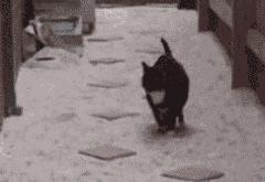 英雄联盟总决赛门票-救赎之战，莫兰特在76人对阵开拓者的比赛中重生