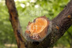 英雄联盟总决赛门票-当几内亚粉碎拉齐奥时，厄德高在抢七夜成为唯一的神