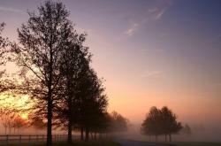 LOL决赛-战术谜团解开！巴萨凭争议绝杀攻克哥伦比亚铁壁，基耶萨一人撕碎整条防线