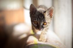 LOL决赛-宿命之战，2026世界杯焦点战—乌拉圭与加纳，复仇的火焰与重写的剧本