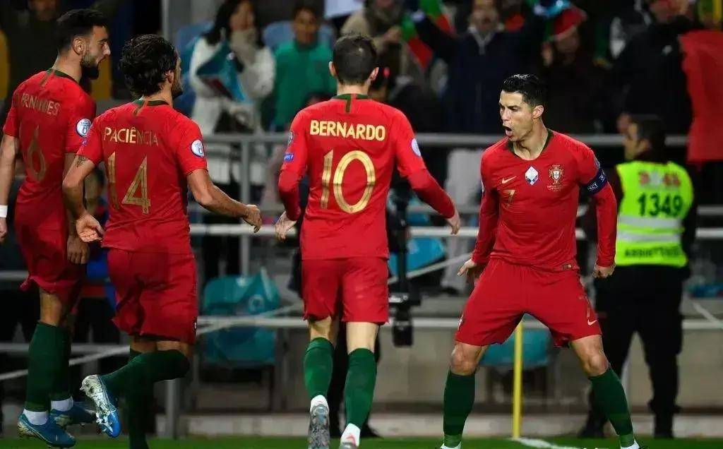 关于斯洛文尼亚队员备战欧洲足球杯的信息