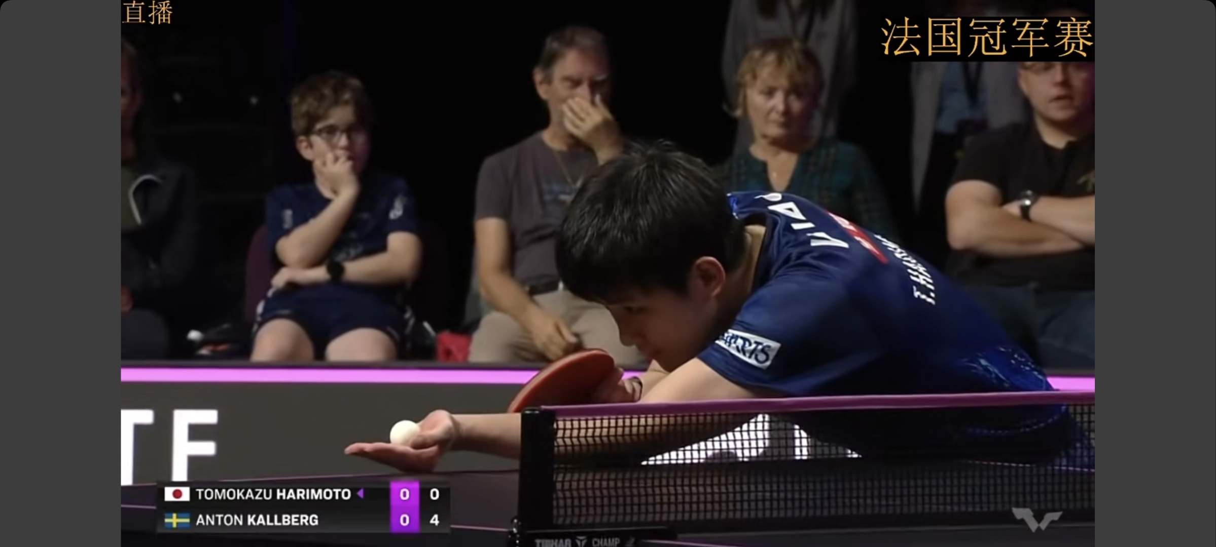 关于瑞典队横扫法国队,张本智和扛起全队的信息 关于瑞典队横扫法国队,张本智和扛起全队的信息