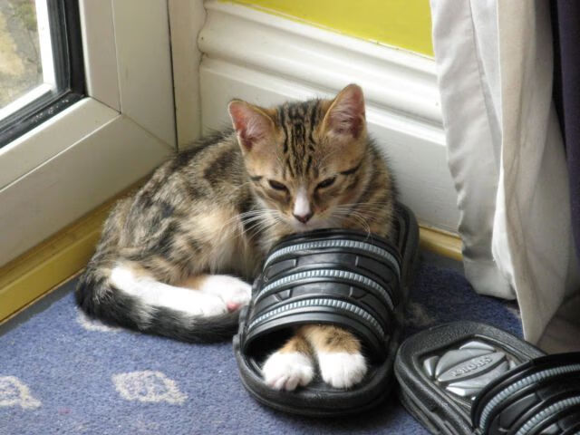 文明对决，当埃及金字塔阴影笼罩梅阿查，C罗一剑封喉