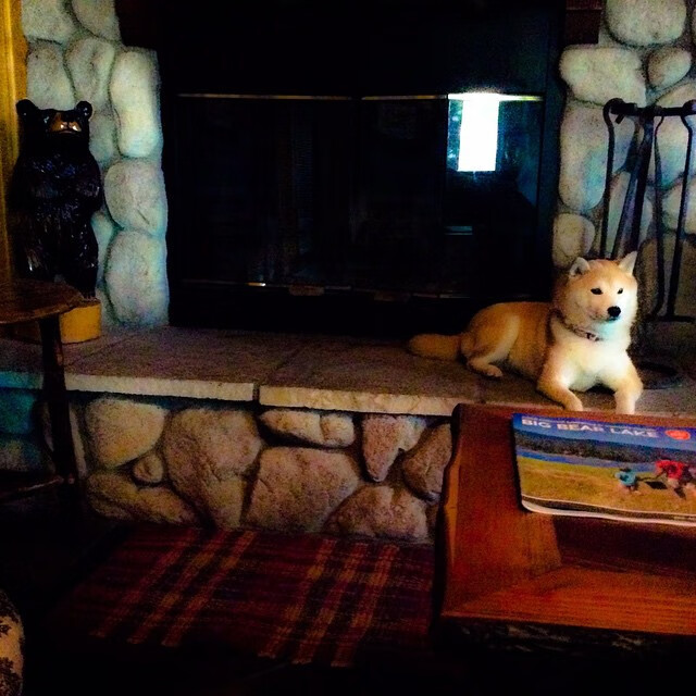 卑微者铸造神迹，征服者亦有完全无解之敌—足球的冰与火之歌