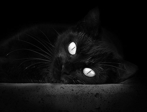 北欧海盗的团队华尔兹与孤胆英雄的狙击步枪,瑞典强压尤文,托尼打出生涯之夜