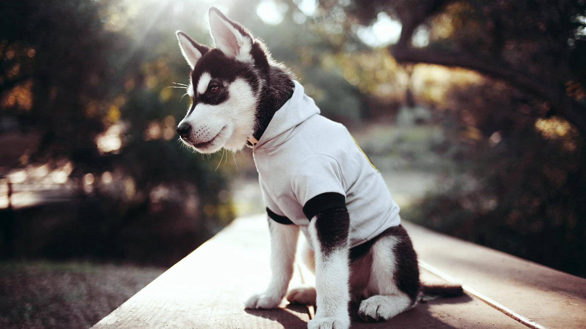 一击定乾坤,当楚阿梅尼的弧线为红魔刻下唯一坐标