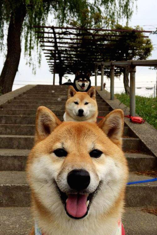 唯一性的双重闪耀,从灰熊逆袭掘金到塔图姆F1争冠的统治时刻