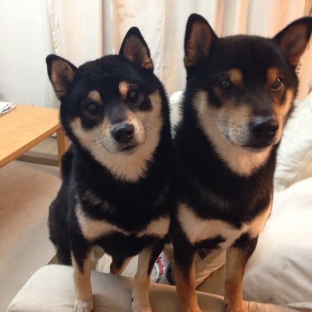 时空交错的篮球意志，当雷霆强断费城，拉文在美加墨的聚光灯下宣告接管