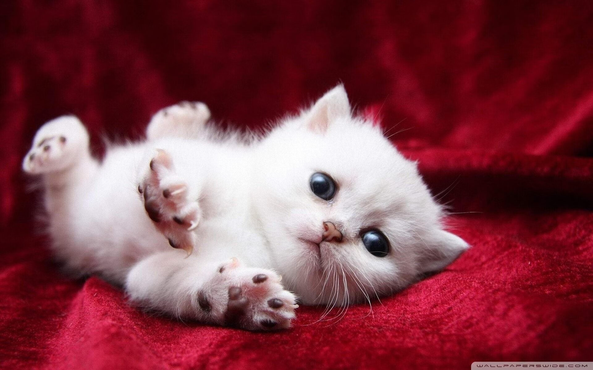 活塞铁壁防守制霸火箭，总决赛焦点战演绎经典