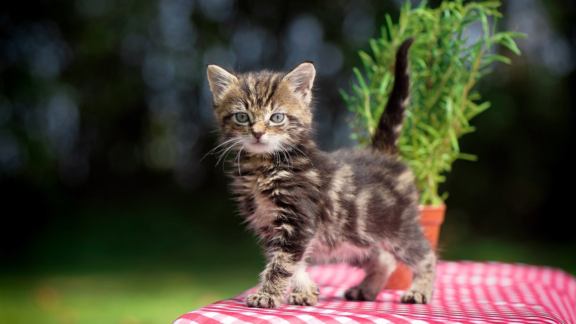 阿劳霍用铁血防守诠释国家德比真谛，当诺坎普为一次铲断而疯狂