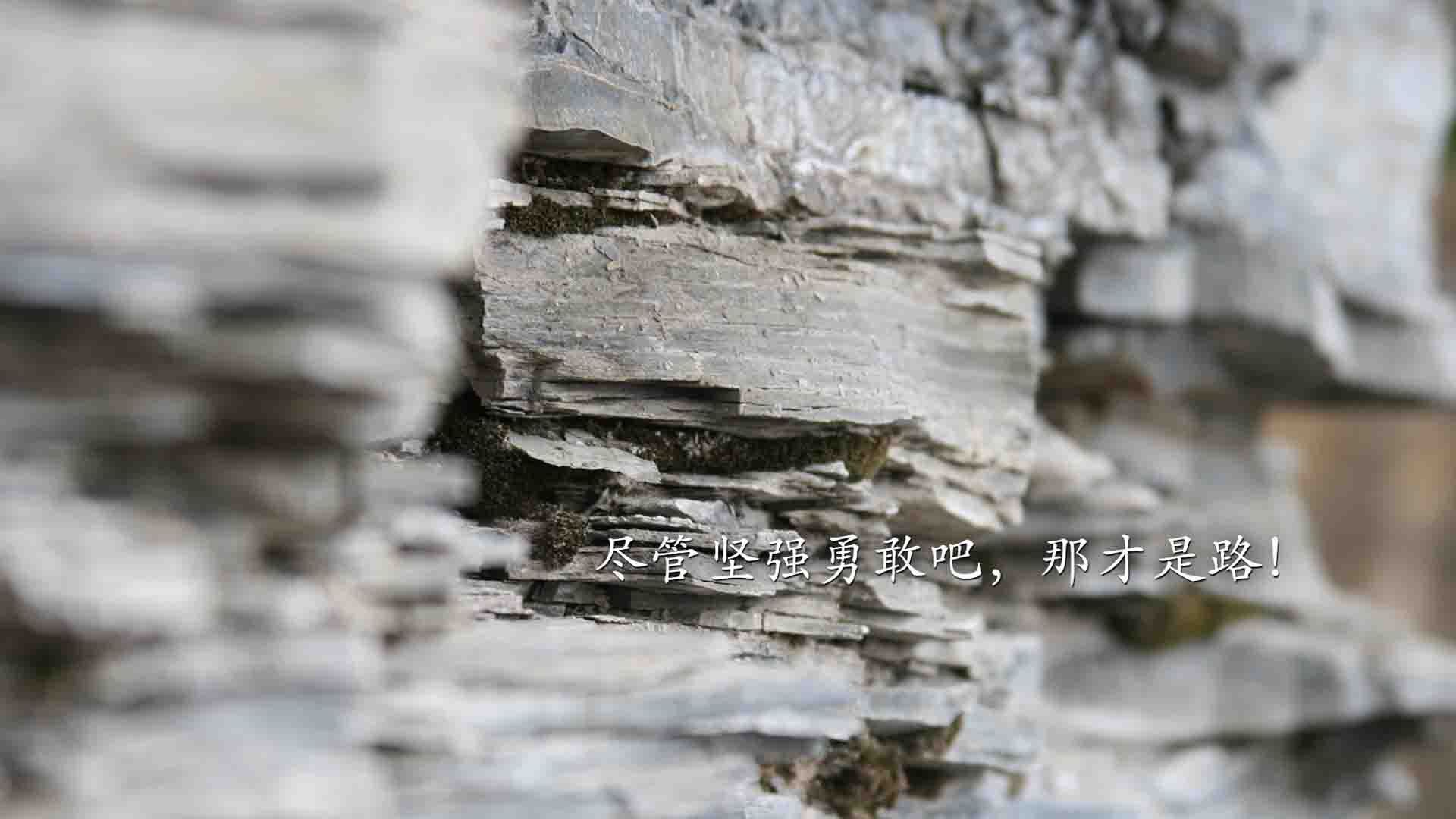 当首都之矛遇见华南虎，马克西式巨星在跨联赛舞台的无限可能