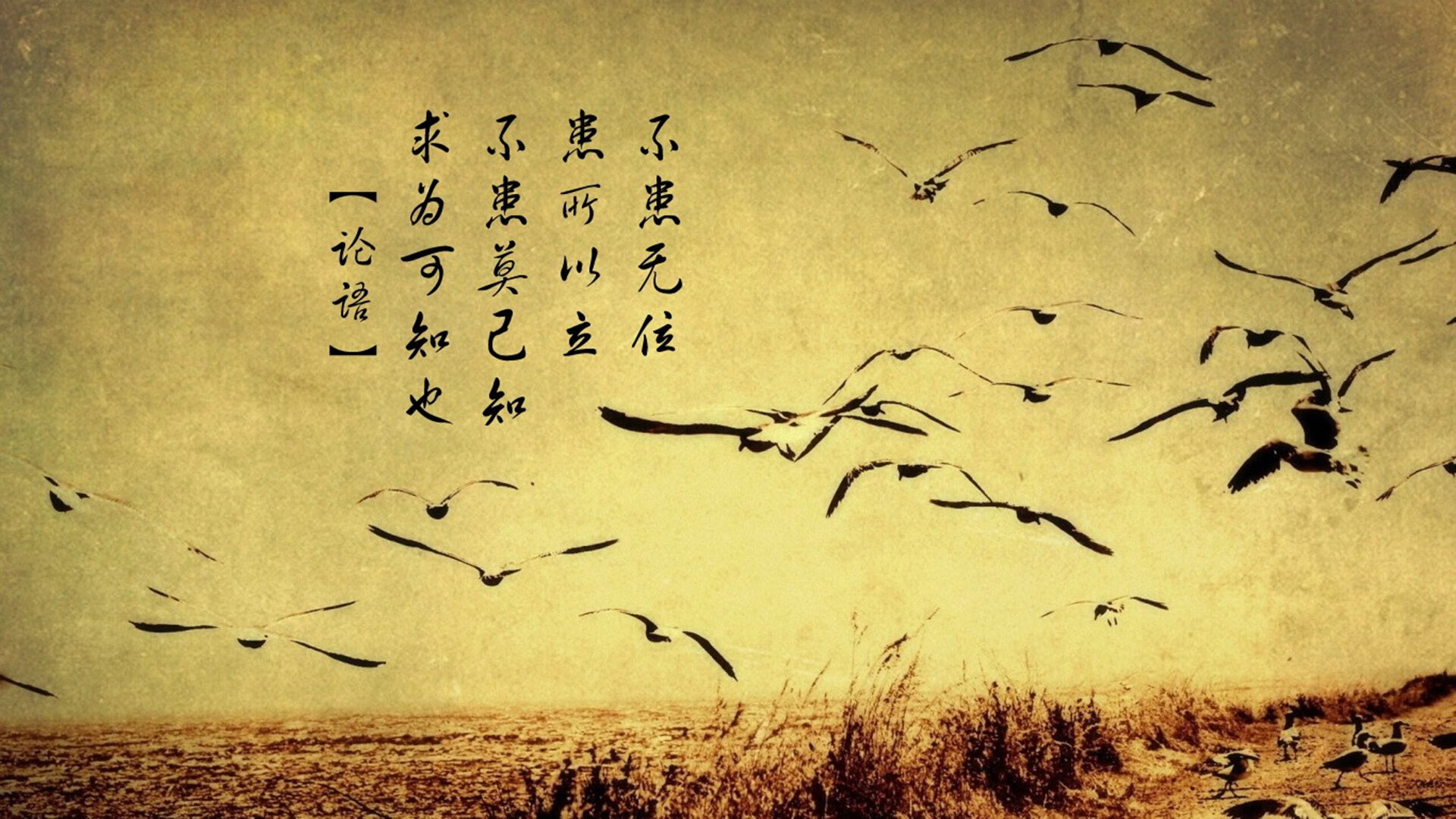 颠覆版图，文班亚马在总决赛的降维打击