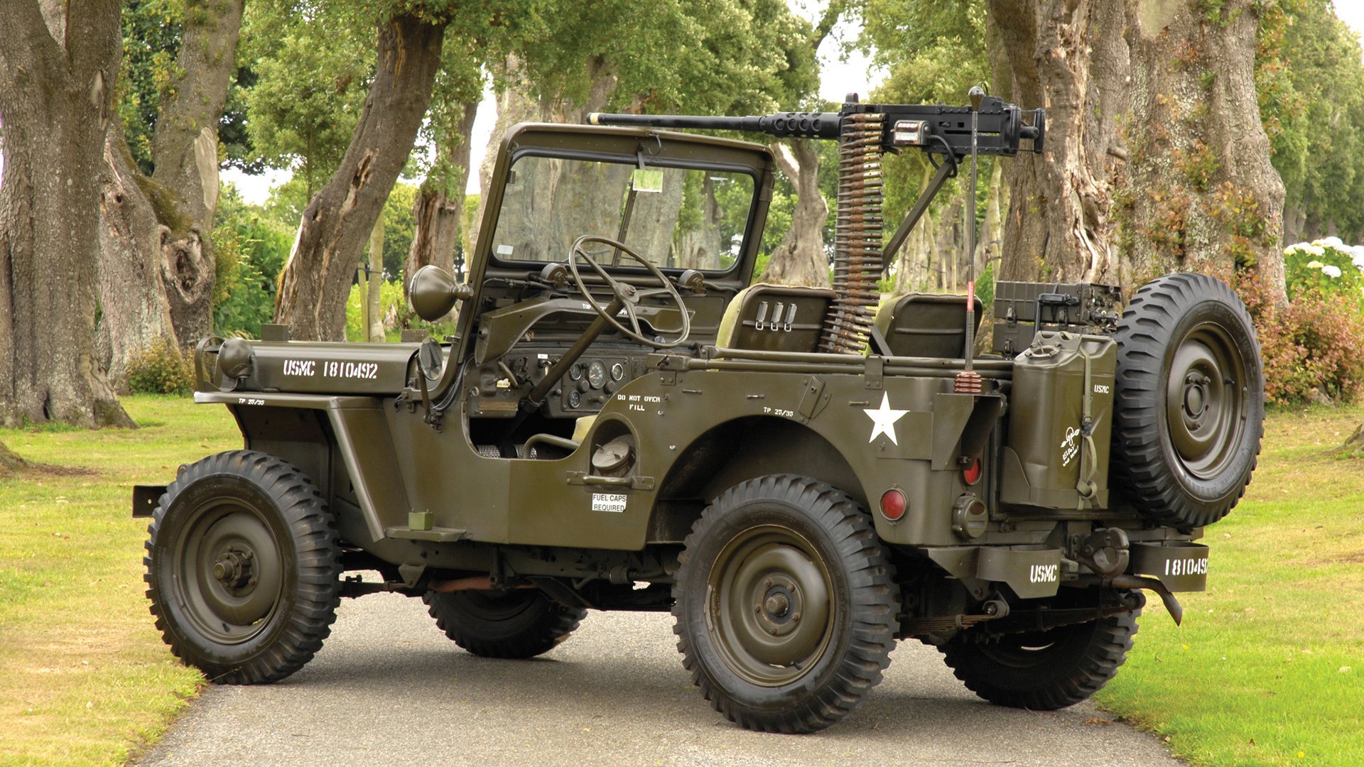 狐狸的獠牙,当福克斯在凯尔特人花园里完成致命狩猎