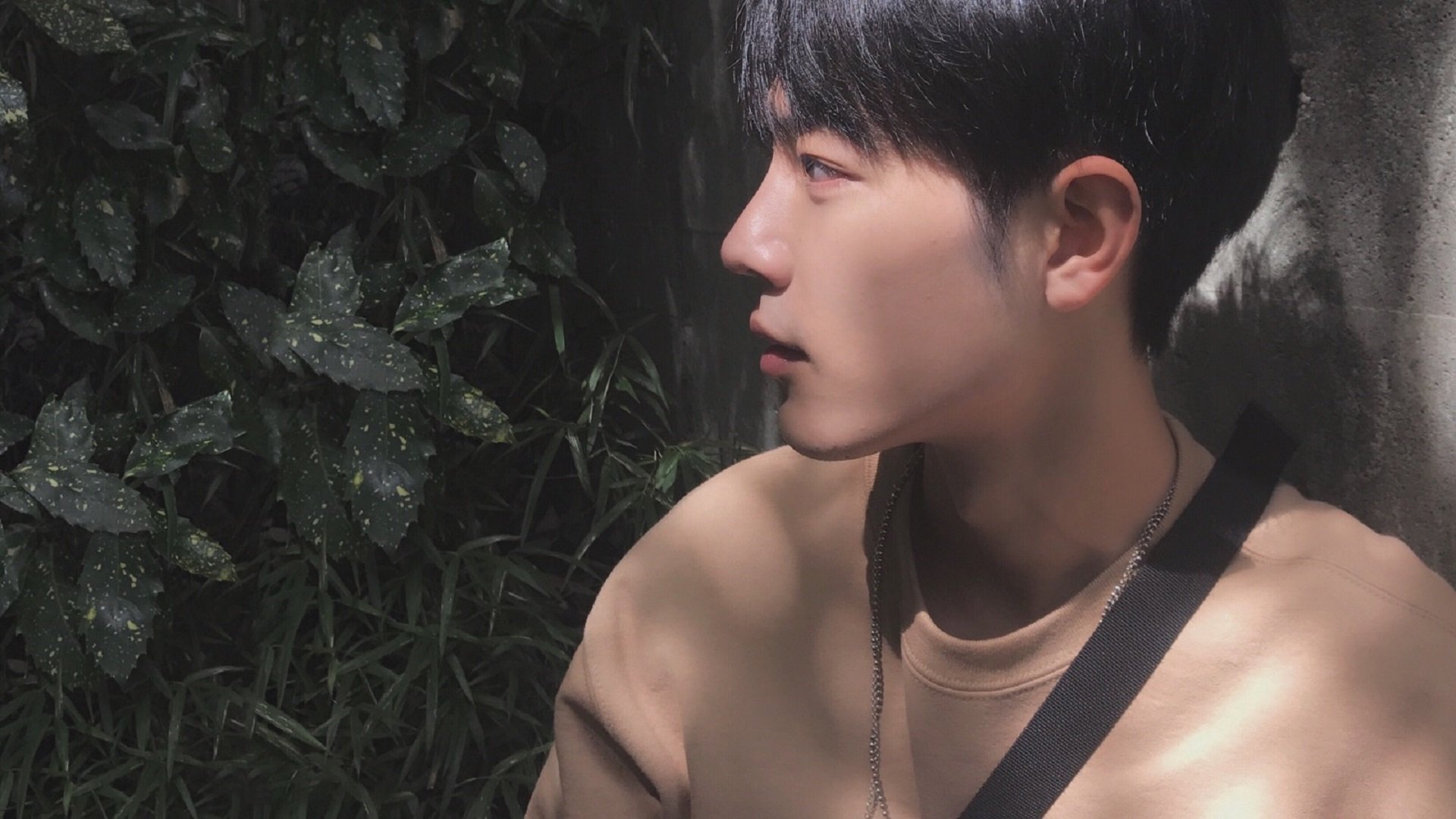 篮球世界的双城记,新疆铁血掀翻深圳,库里一剑封喉定乾坤