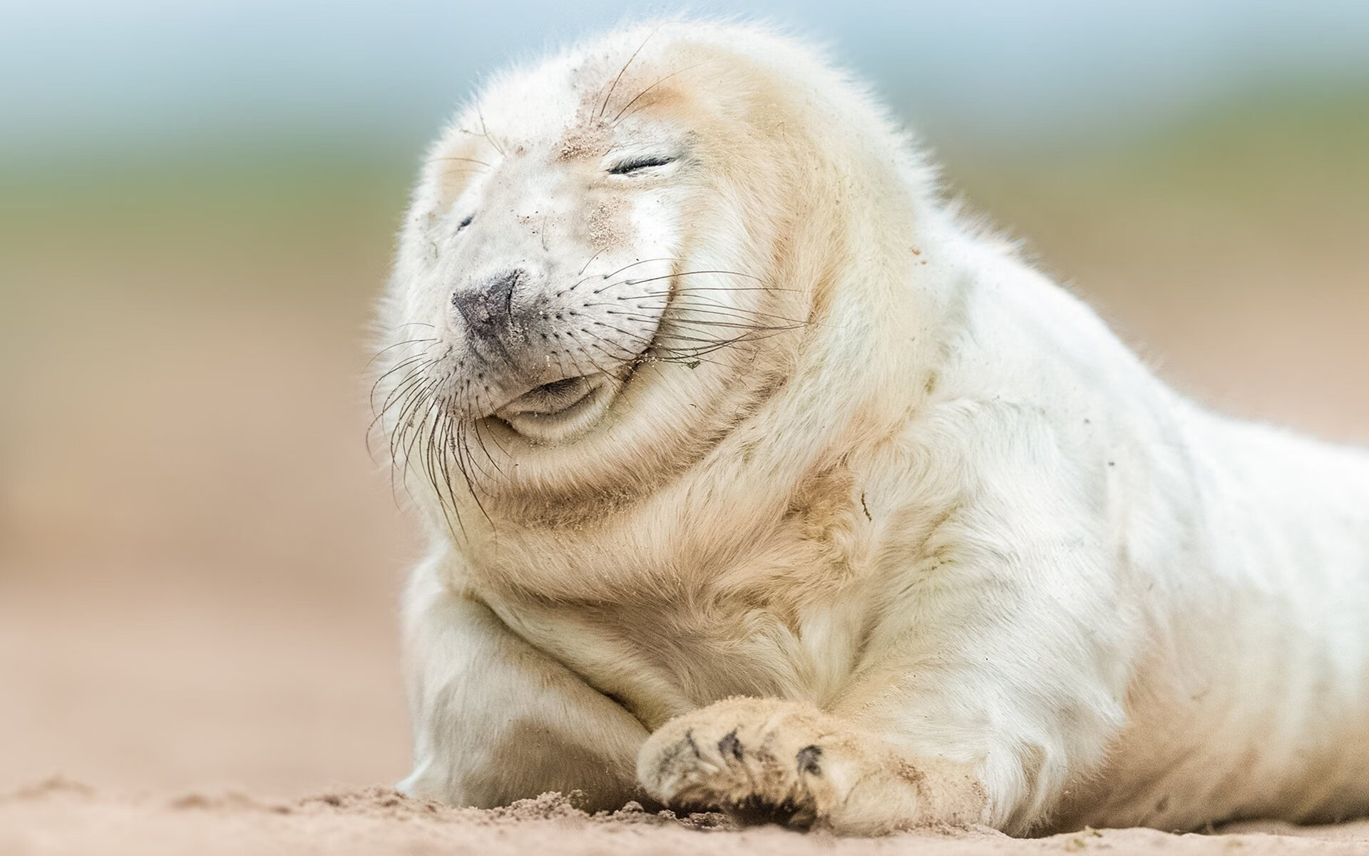 蓝领巨塔的黄金五分钟,当戈贝尔的双手,在欧冠之夜奏响冰与火之歌