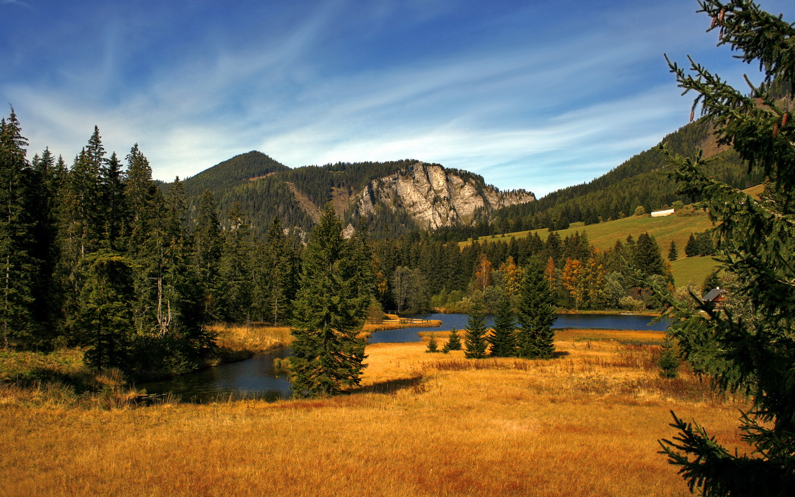 辽宁队加时取胜广厦队，范弗利特，那道沉默的屏障与胜利的支点