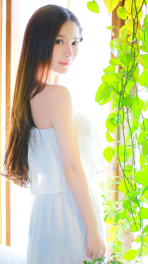 当字母哥照亮天际线,猛龙如何拆解雷霆密码?