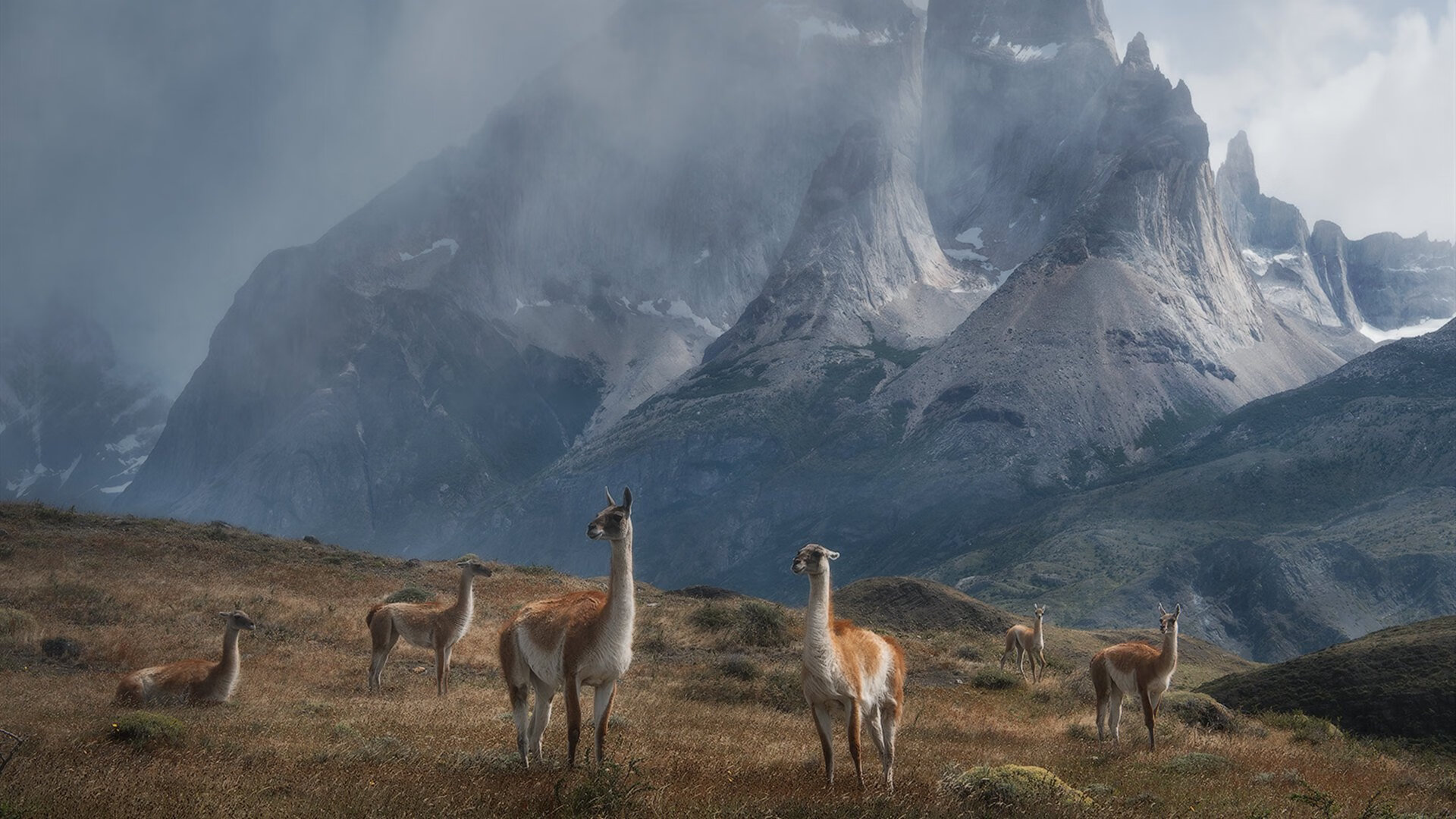 体育精神的无界胜利，乌克兰特奥选手以纯粹热爱横扫对手