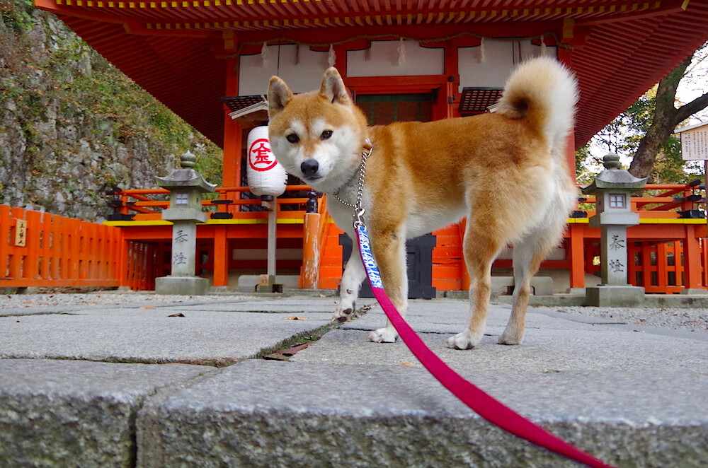 在时间的弹道里，他是唯一的变量，奥运周期关键战之夜，布雷默如何将比赛走势炼成一门精确的艺术