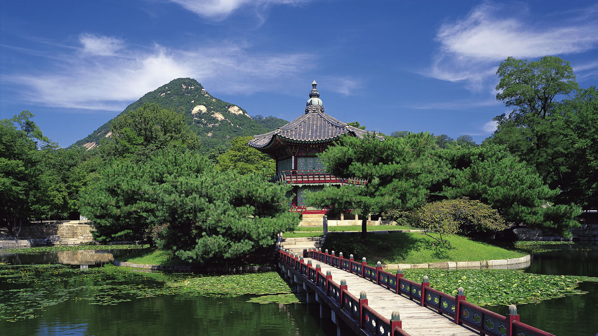钢铁长城困桑巴,2026世界杯B组,丹麦用范戴克的铁血法则改写足球美学