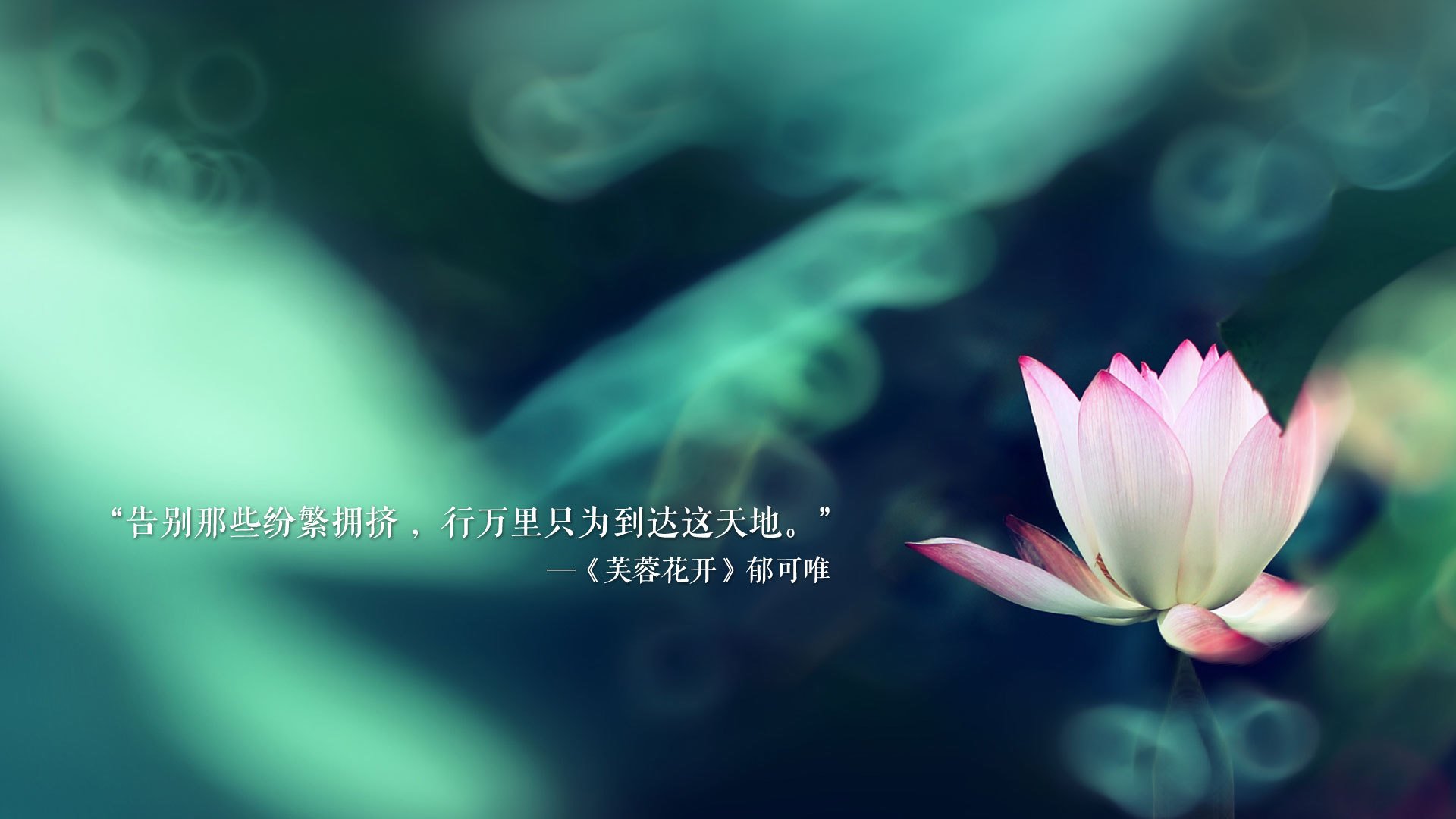 2026世界杯D组生死战,挪威破冰擒斯洛伐克,格列兹曼铁血防线定乾坤