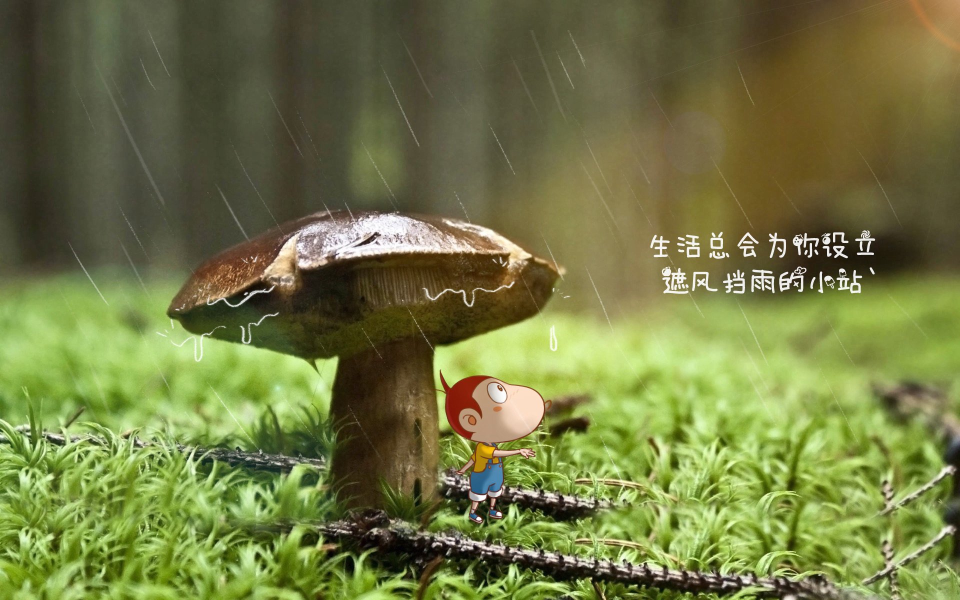 选项